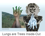 Lungs are Trees