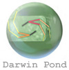 Download Darwin Pond